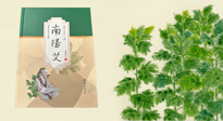 【行業(yè)資訊】國(guó)內(nèi)首部艾草專著《南陽(yáng)艾》，在南陽(yáng)新書(shū)首發(fā)！